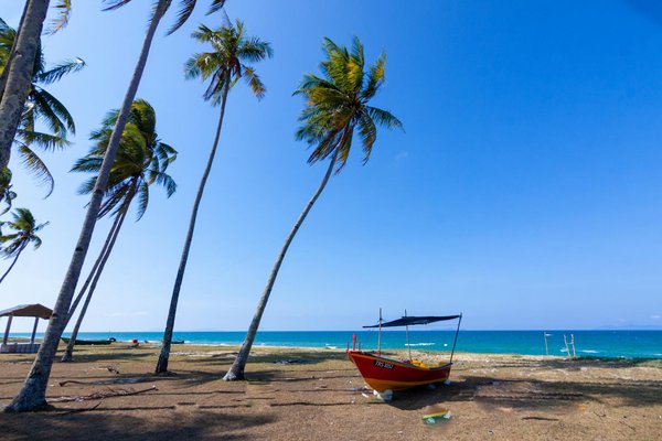 Où trouver les meilleurs spots pour le surf sur les plages de la Côte des Basques, France : conditions et saisons idéales ?