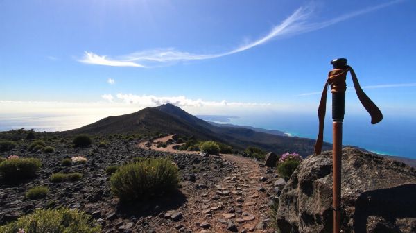 Les meilleurs sentiers secrets pour randonner à La Palma