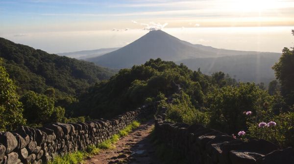 Les meilleurs sentiers secrets pour randonner à La Palma